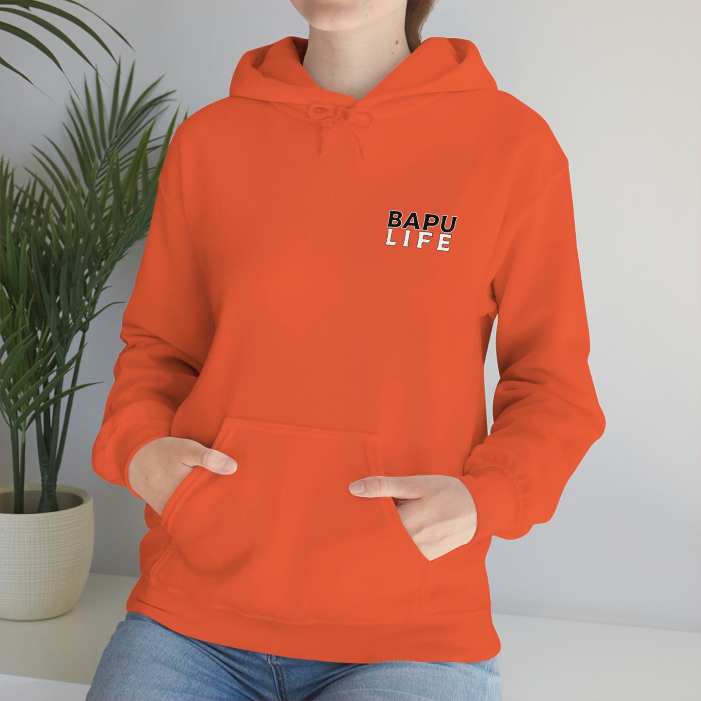 Two World One Vibe Hoodie